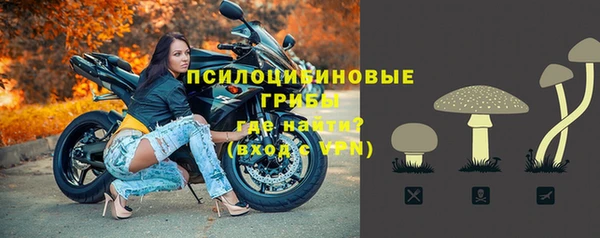 эйфоретик Абаза