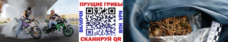 blacksprut ссылки  Лакинск  Галлюциногенные грибы ЛСД 